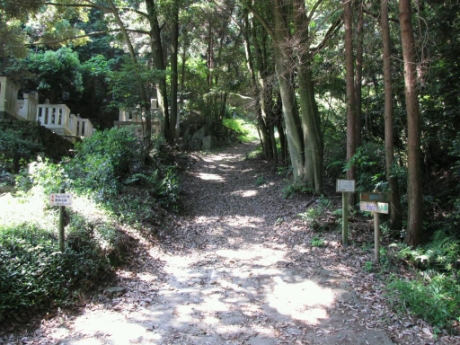 分岐